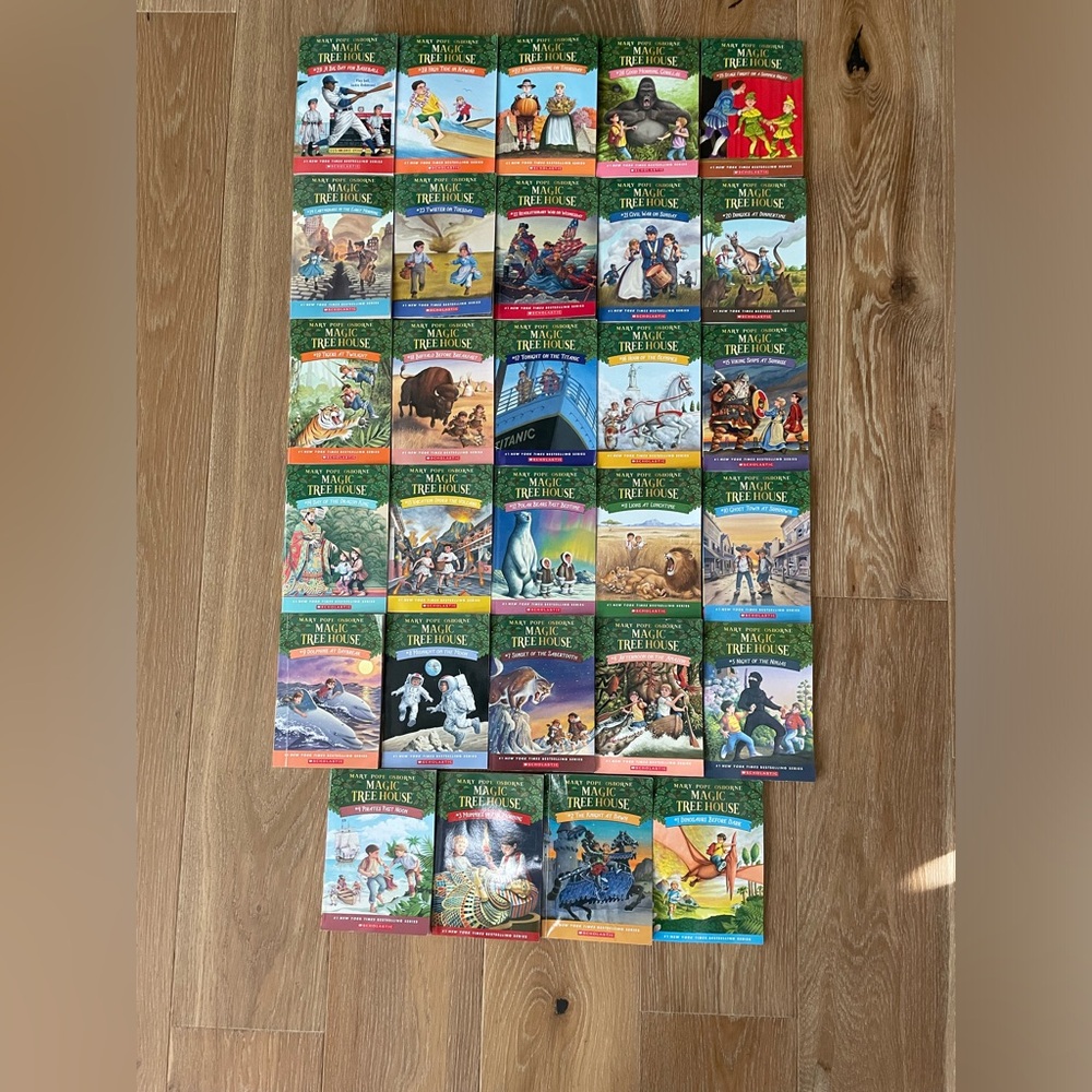 Magic Treehouse Books 1-29 (Previously read)